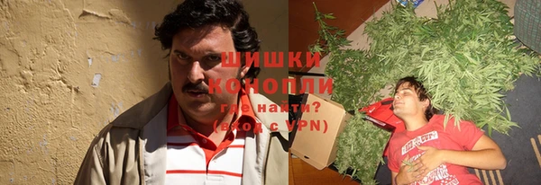 прущие грибы Алексин