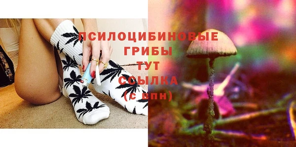 прущие грибы Алексин