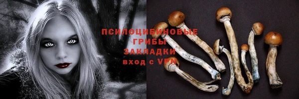 героин Алзамай