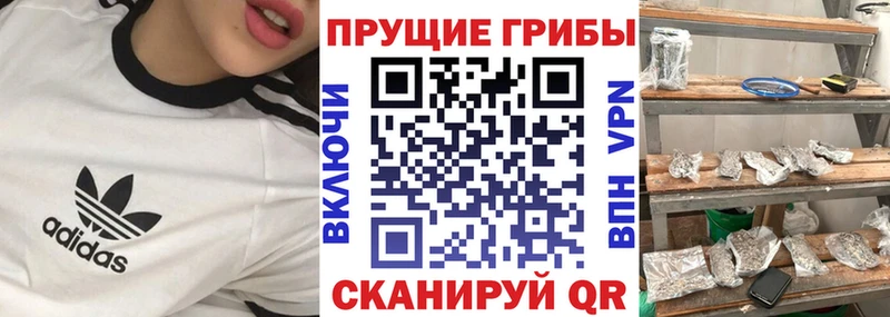 Псилоцибиновые грибы GOLDEN TEACHER  MEGA онион  Закаменск 